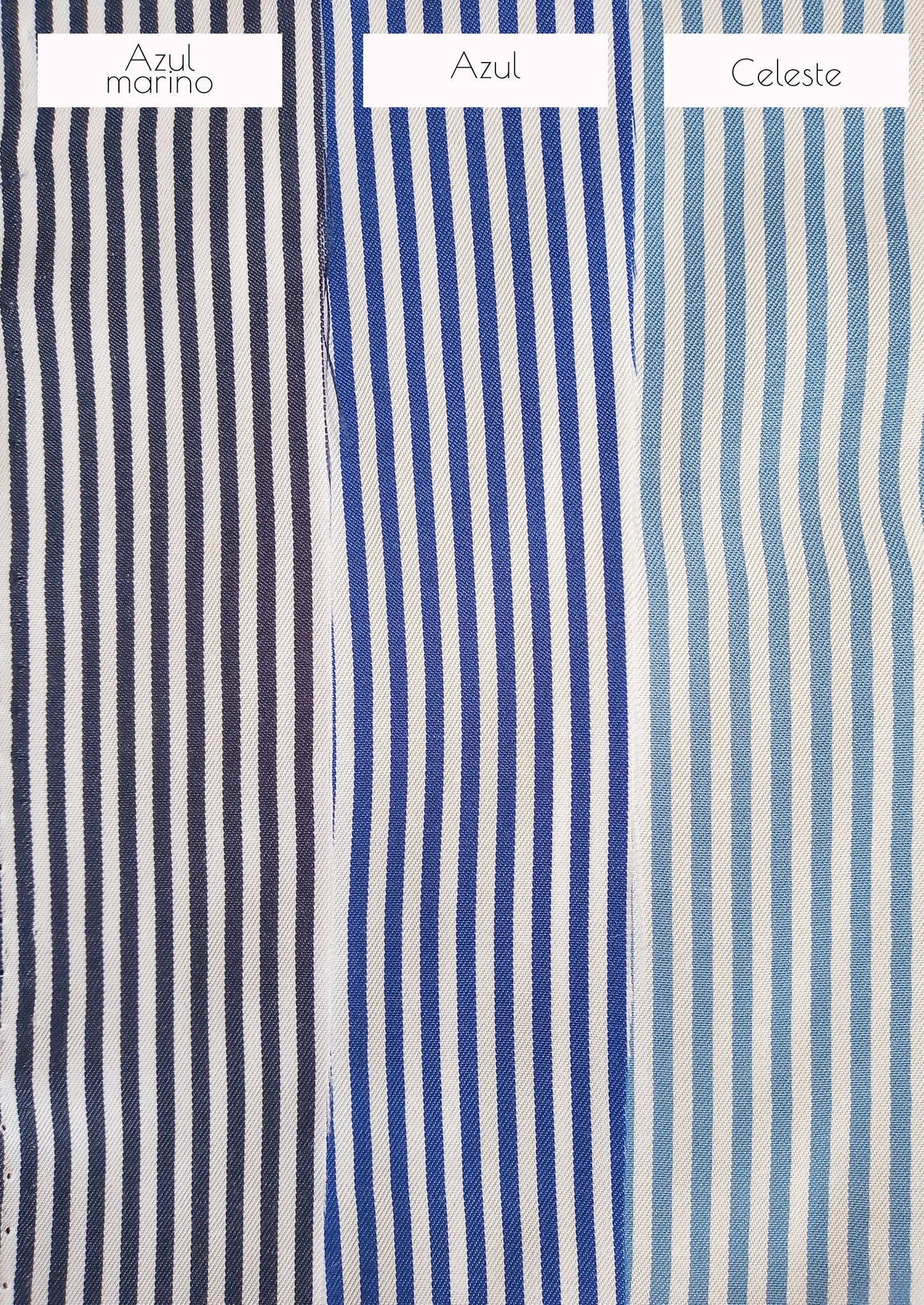 7487 Blusa Fredy