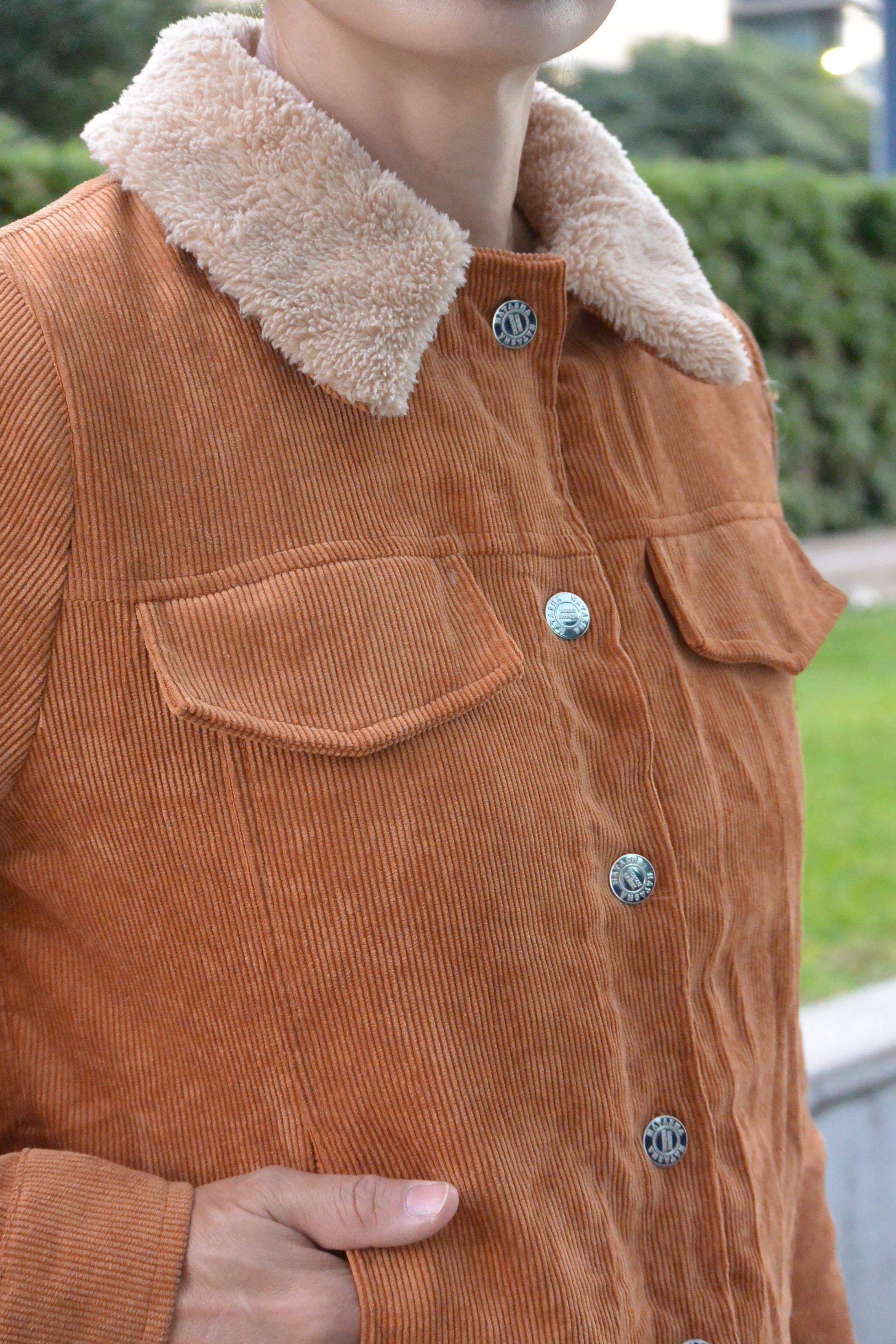 6614 Campera Foxy