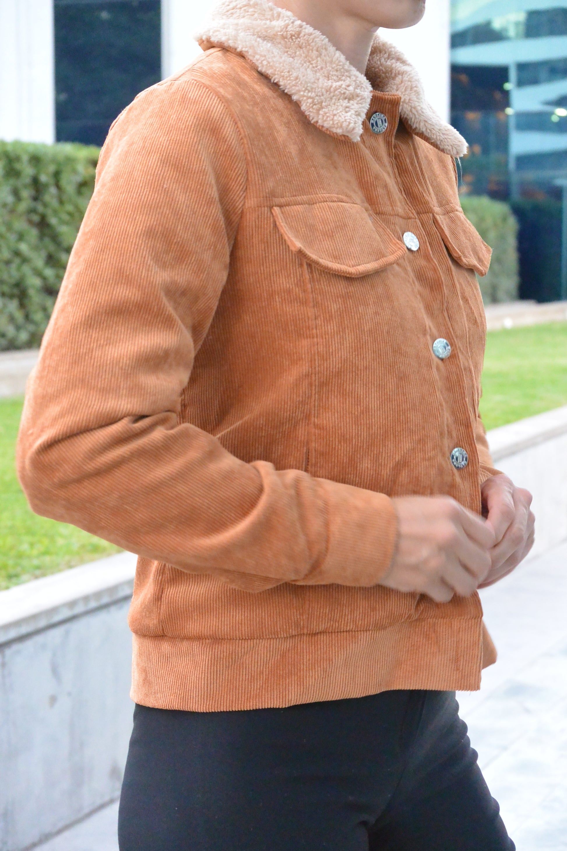 6614 Campera Foxy