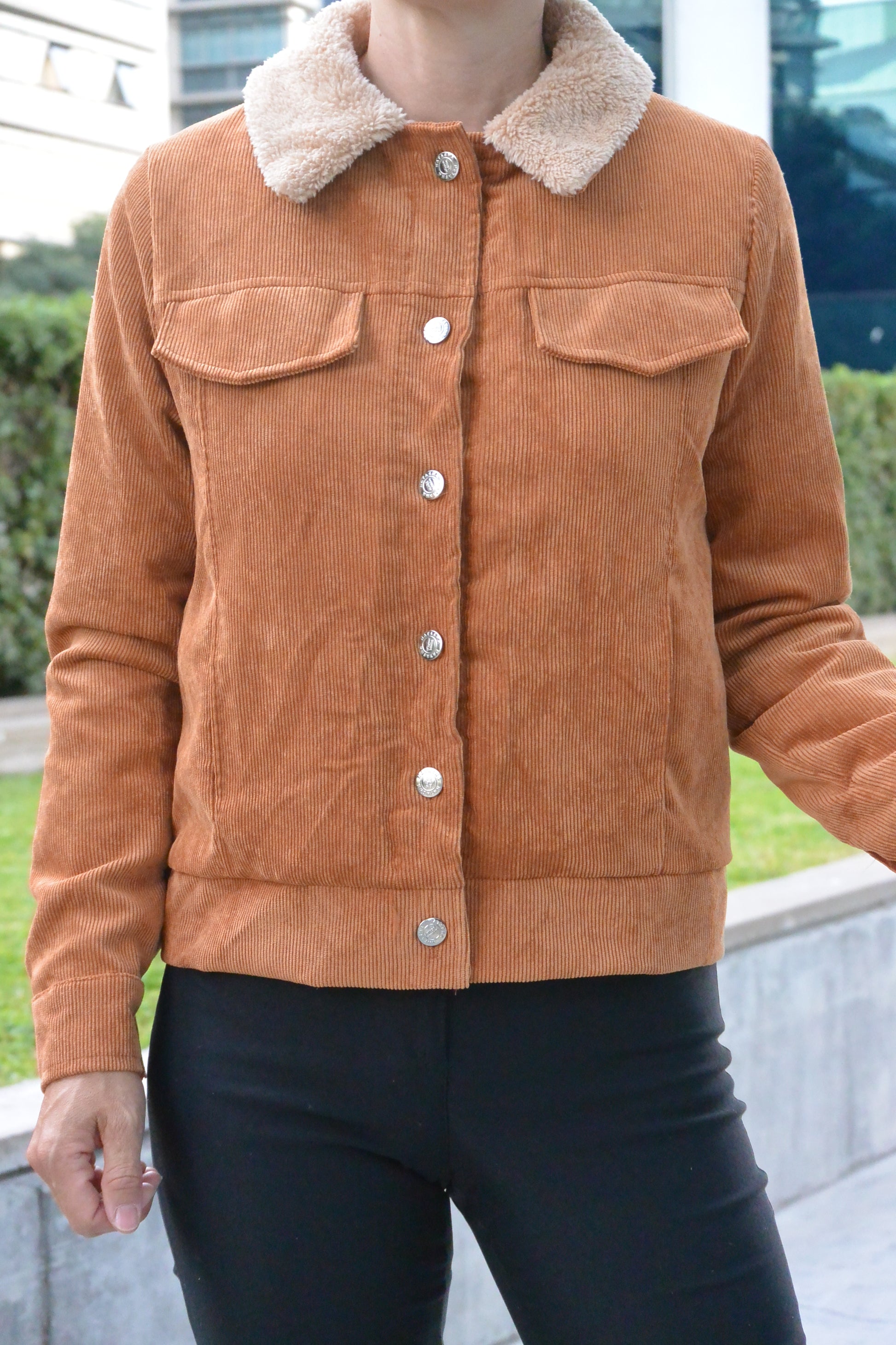 6614 Campera Foxy
