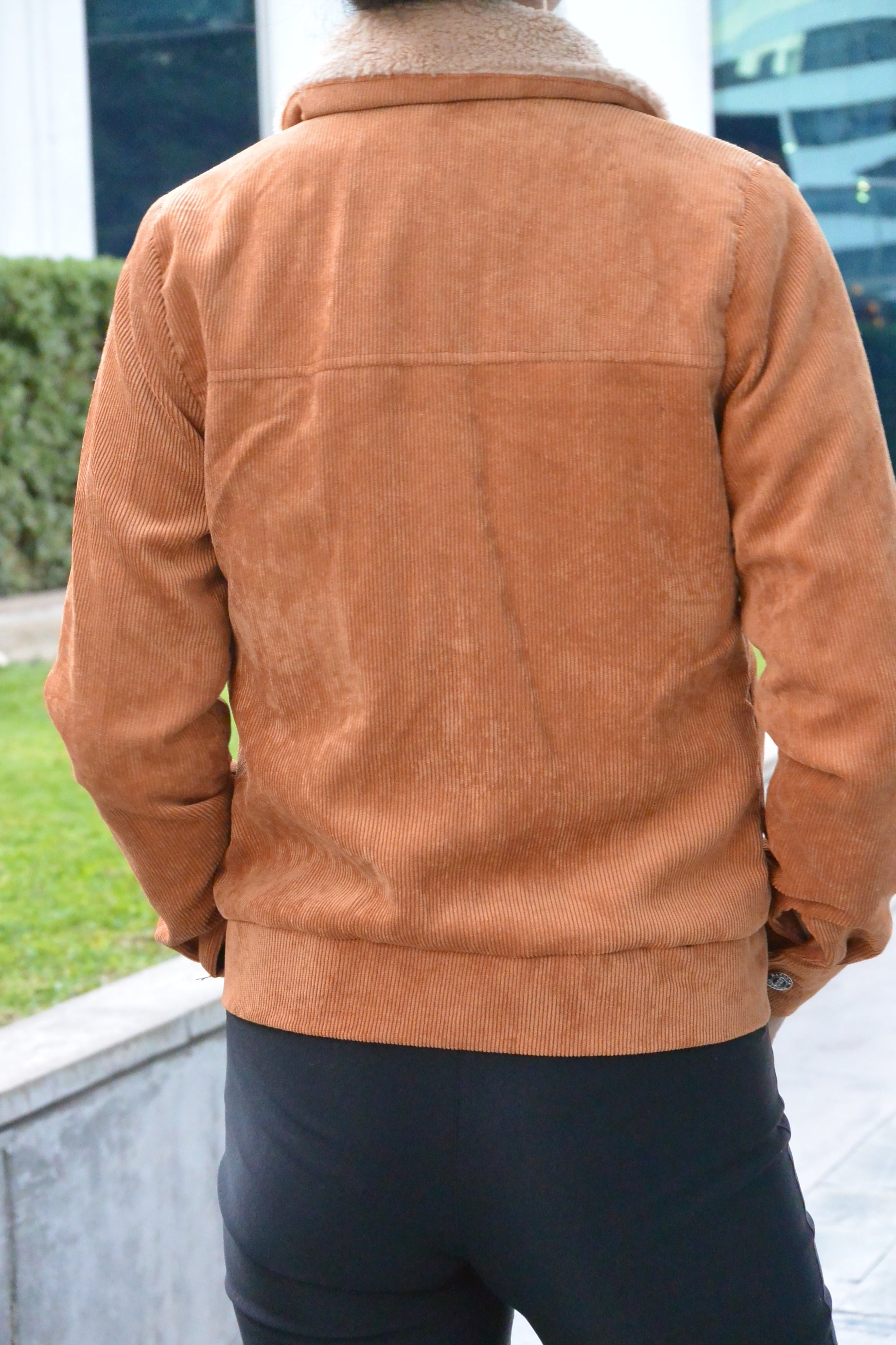 6614 Campera Foxy
