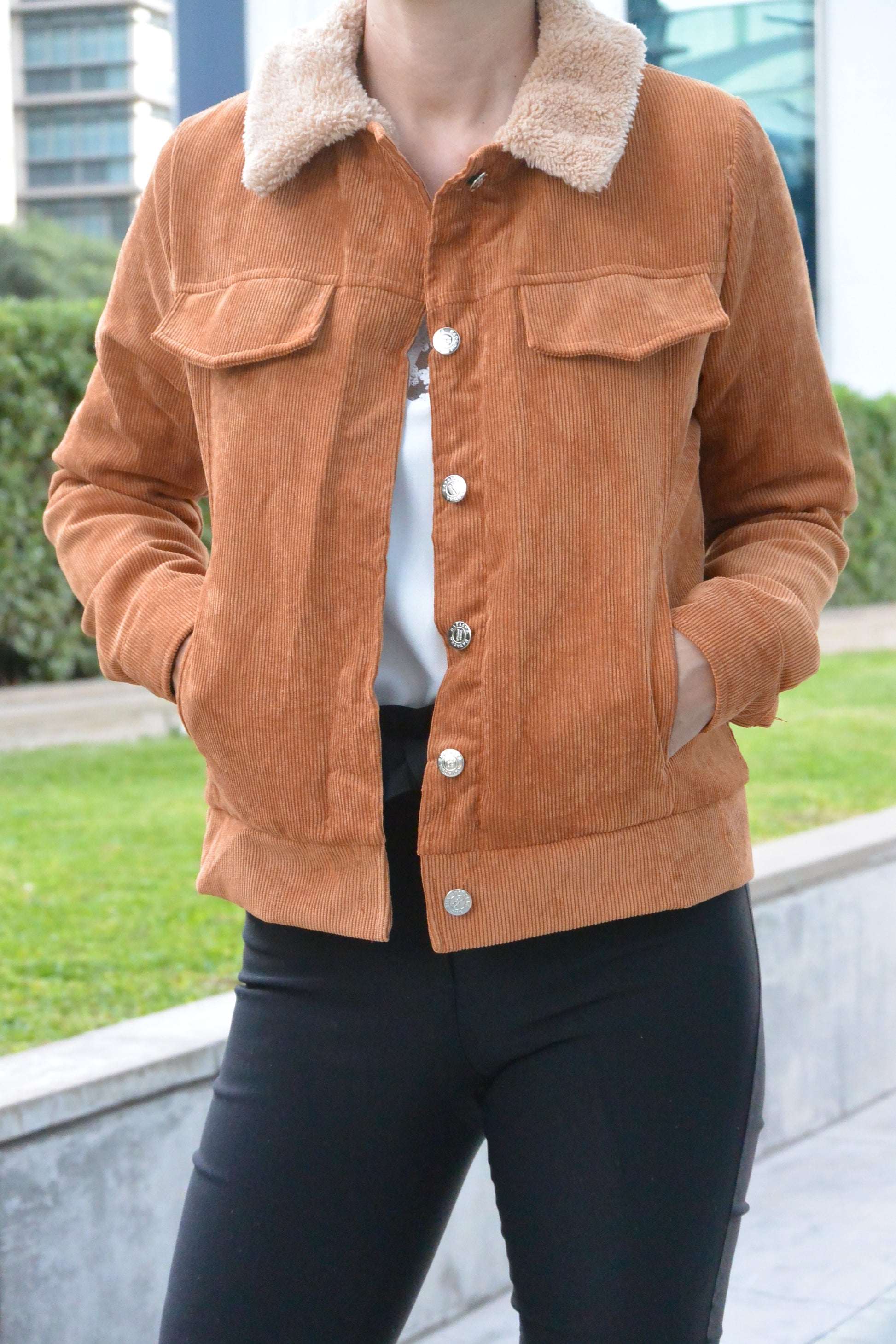 6614 Campera Foxy